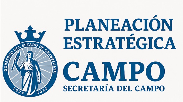 Procesos estratégico